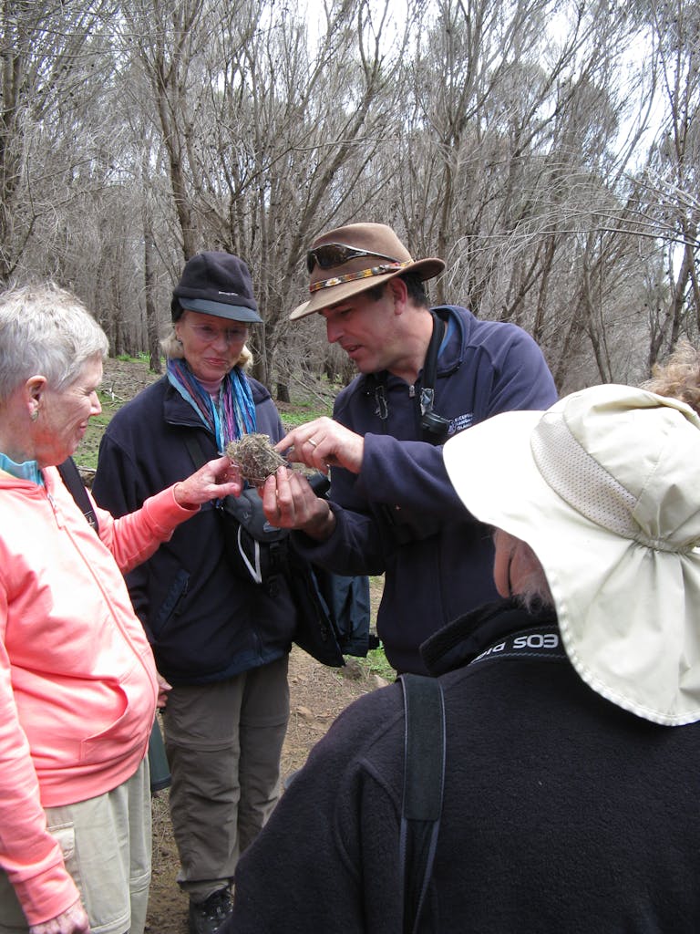 Bird Watching © Heather McFarland