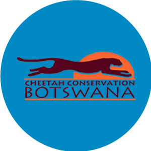 Cheetah Conservation Botswana