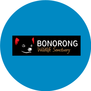 Bonorong Wildlife Sanctuary