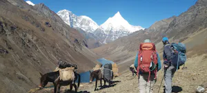 Landscape © Namgay Tshering