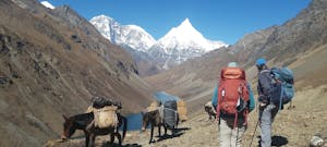 Trekking © Namgay Tshering