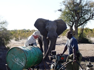 Elephant with Conservationists © Imvelo Safari Lodges