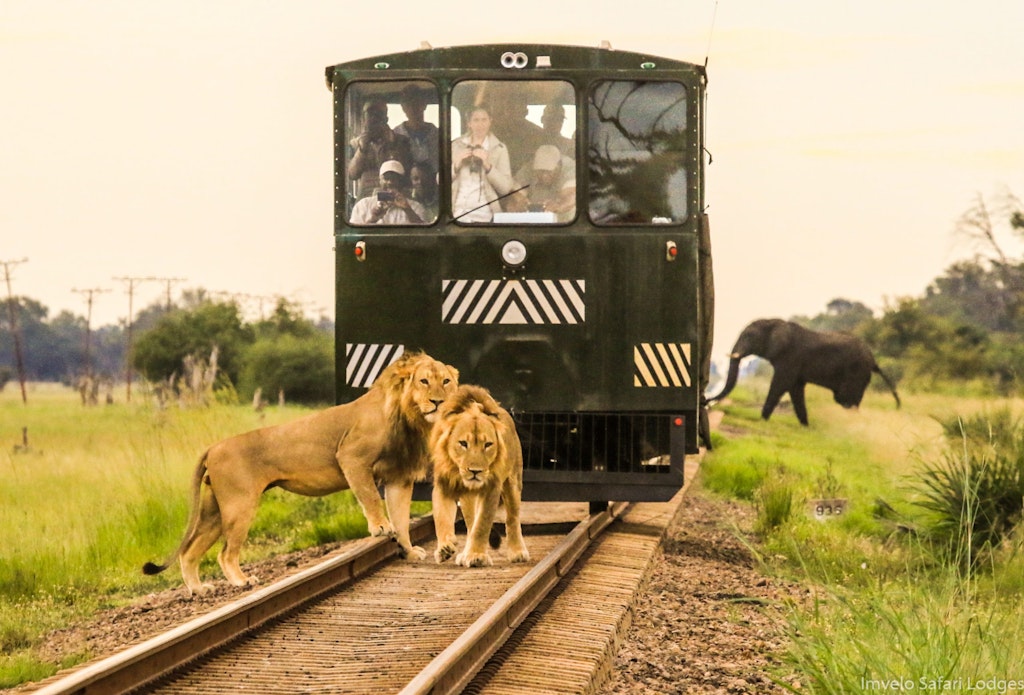 The Elephant Express © Imvelo