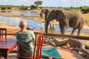 Elephants © Imvelo Safari Lodges