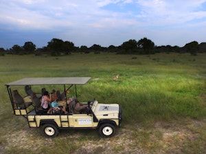 Cheetah © Imvelo Safari Lodges