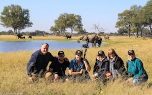 Elephants © Imvelo Safari Lodges