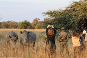 Travelers with Rhinos © Imvelo Safari Lodges