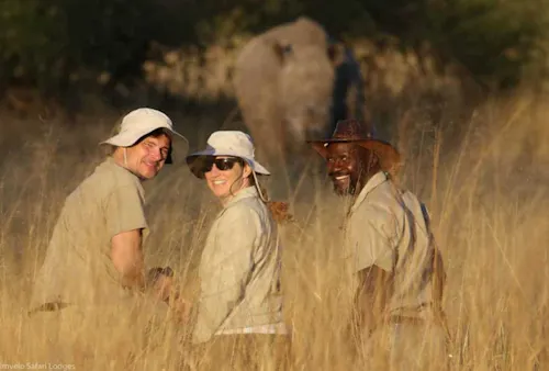 Walking with Rhinos, Imvelo Safari Lodges