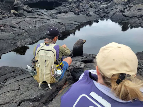 Galapagos travelers with fur seal &copy; Adam Walter
