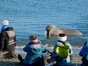Travelers and Walrus ©Lynn DuPratt