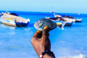 Fishing © Mo Dealer