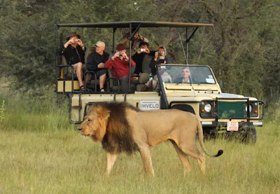 Imvelo Safari Lodges Bomani Tented Lodge