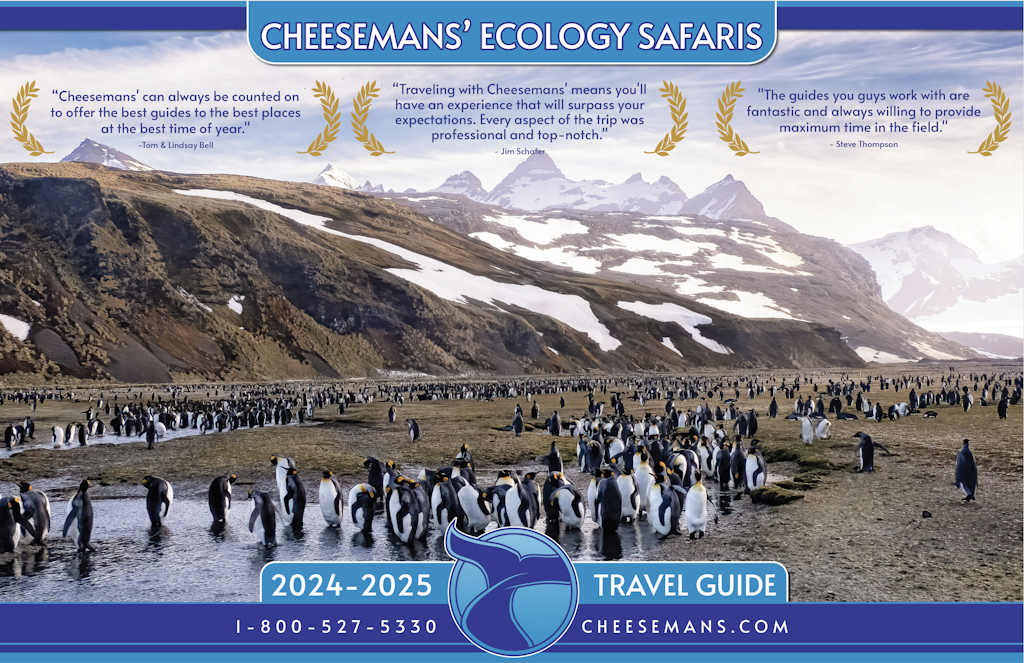 2024-2025 Cheesemans' Ecology Safaris Brochure