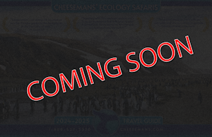 2024-2025 Cheesemans' Ecology Safaris Brochure COMING SOON!