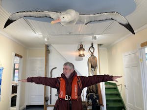 Albatross Wingspan© Martie Conner