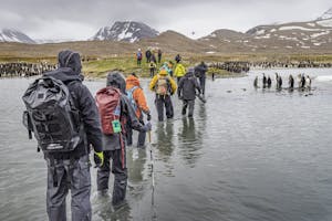Crossing St Andrews© Mariann Cyr