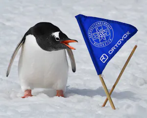Gentoo Penguin© Janet Daley