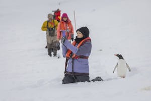 Jougla Point Photog & Gentoo© Mariann Cyr