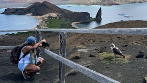 Landscape ©Jonathan Mash