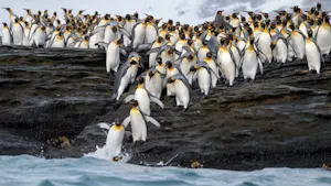St. Andrews Bay ©James Lee