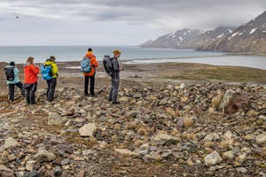 Looking Over St Andrews King Colony© Mariann Cyr