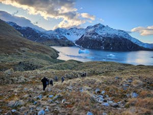 Landscape© Milo Burcham