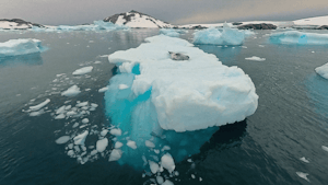 South Georgia & The Antarctic Peninsula