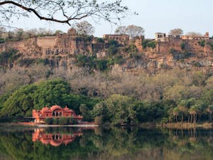 Jogi Mahal Hunting Lodge and Ranthambore Fort© Ken & Mary Campbell