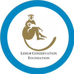Lemur Conservation Foundation