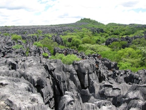 Ankarana National Park © Tim Eppley