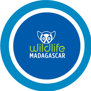 Wildlife Madagascar