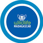 Wildlife Madagascar
