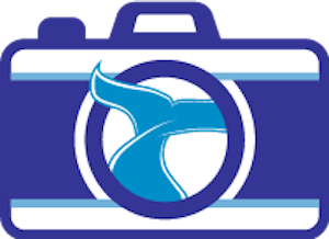 Photo-Friendly Tours Icon
