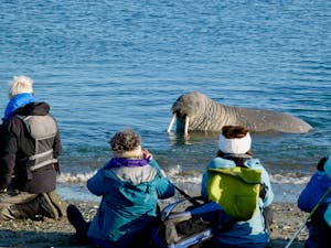 Walrus and Travelers © Lynn DuPratt