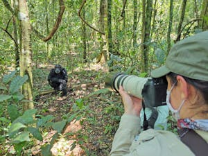 Traveler with Chimpanzee Adam Walter