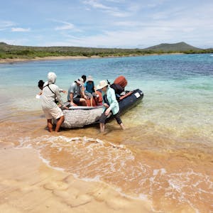Landing© Ken Russell