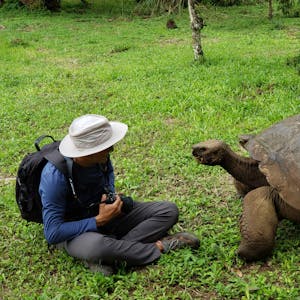 Galapagos Giant Tortoise© Ken Russell