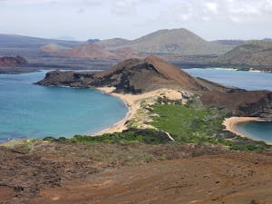 Landscape© Laurel Devaney