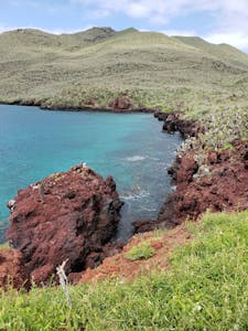 Landscape© Laurel Devaney