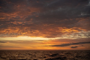 Galapagos Sunset© Chris Desborough