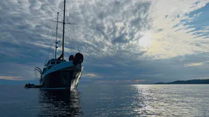 The Samba © Jonathan Mash