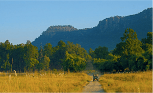 Bandhavgarh National Park © Amit Sankhala