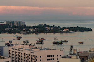 Harbor © Roy Robins-Browne