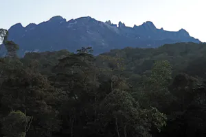 Landscape© Roy Robins-Browne