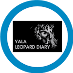 Yala Leopard Diary