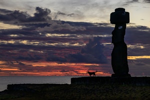 Moai StatuesEaster Island Moai © Stephen Martin