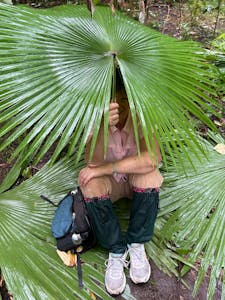 Traveler in the Rain© Stephen Greenlee