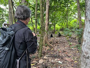 Black-crested Macaque© Krista Hanni