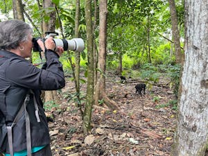 Black-crested Macaque© Krista Hanni