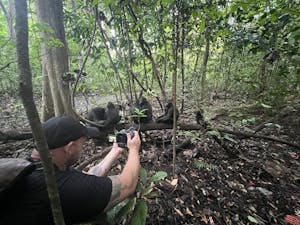 Black-crested Macaque© Krista Hanni